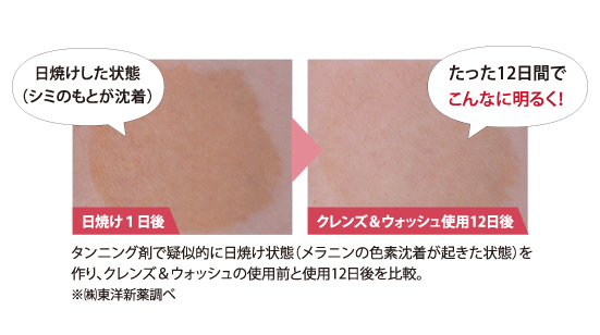 日焼け肌と使用後12日後の比較