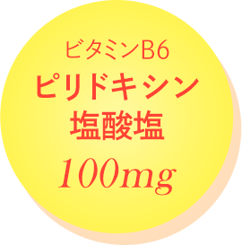 ビタミンB6 ピリドキシン塩酸塩 100mg